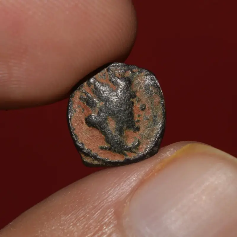 A coin from Palmyra