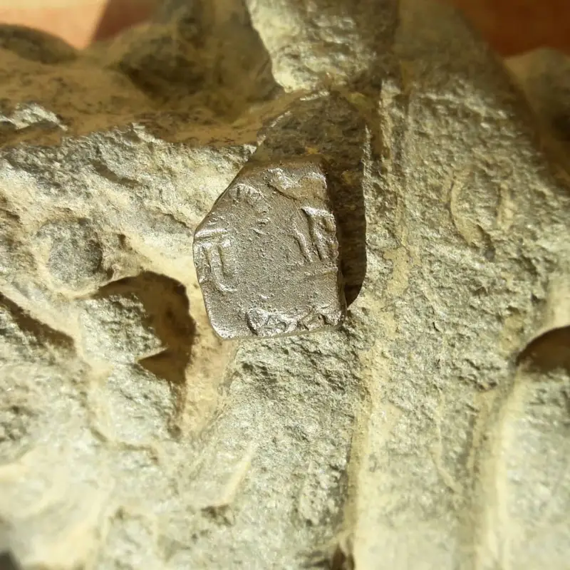 Gandhara punchmark coin · 600-200BC